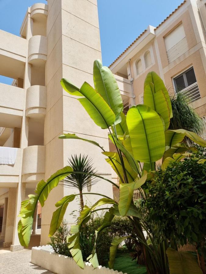 Flamenco Penthouse Sea View & Swimming Pool Apartment Torrevieja Ngoại thất bức ảnh