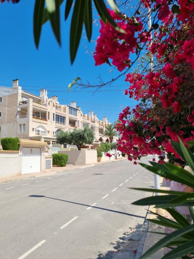 Flamenco Penthouse Sea View & Swimming Pool Apartment Torrevieja Ngoại thất bức ảnh